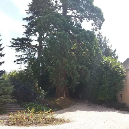 Le Bajocasse Bayeux